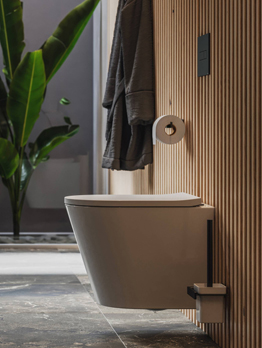 Hangtoiletten